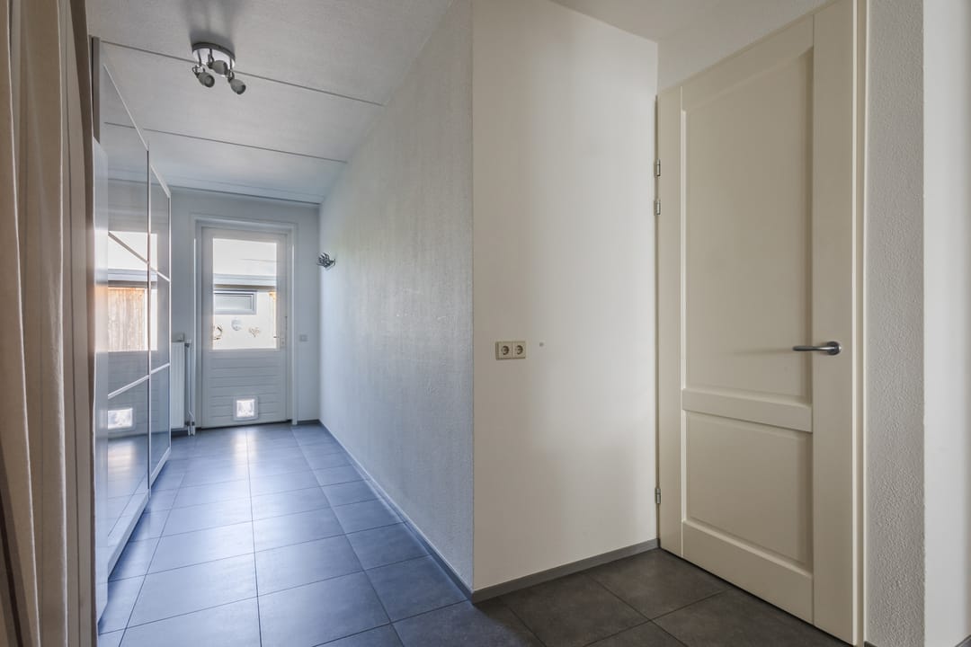 Foto 28 van Buizerd 14