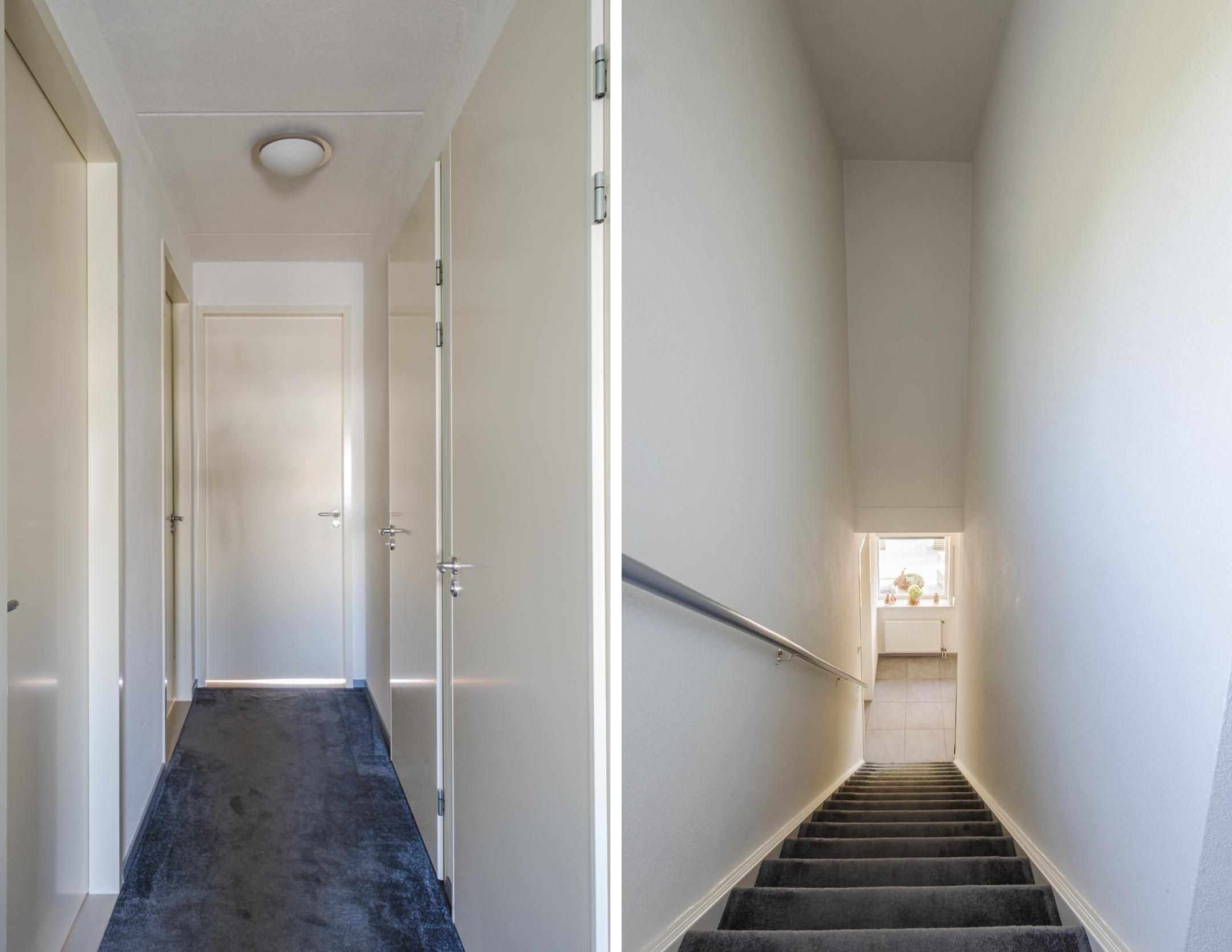 Foto 30 van Buizerd 14