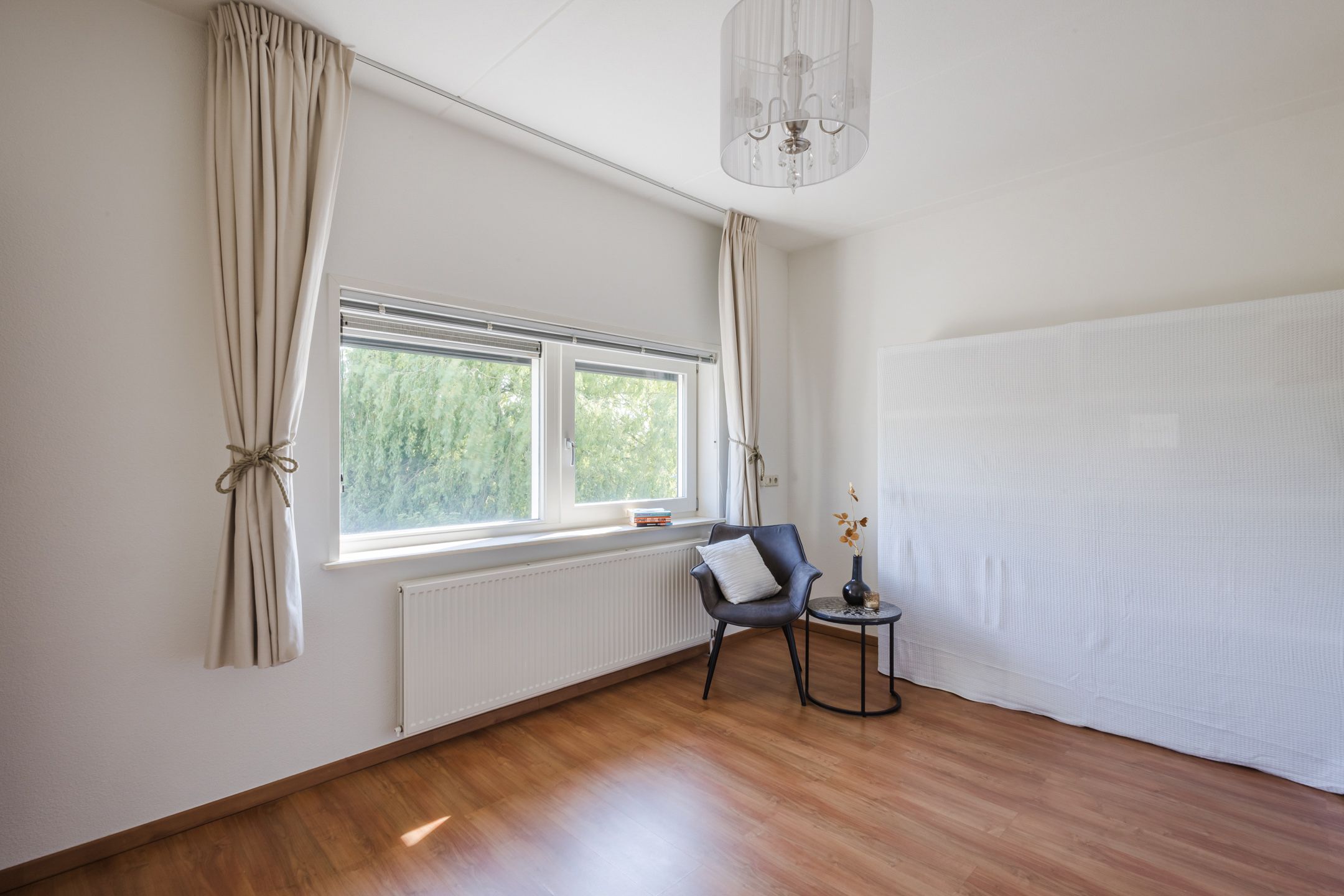 Foto 33 van Buizerd 14