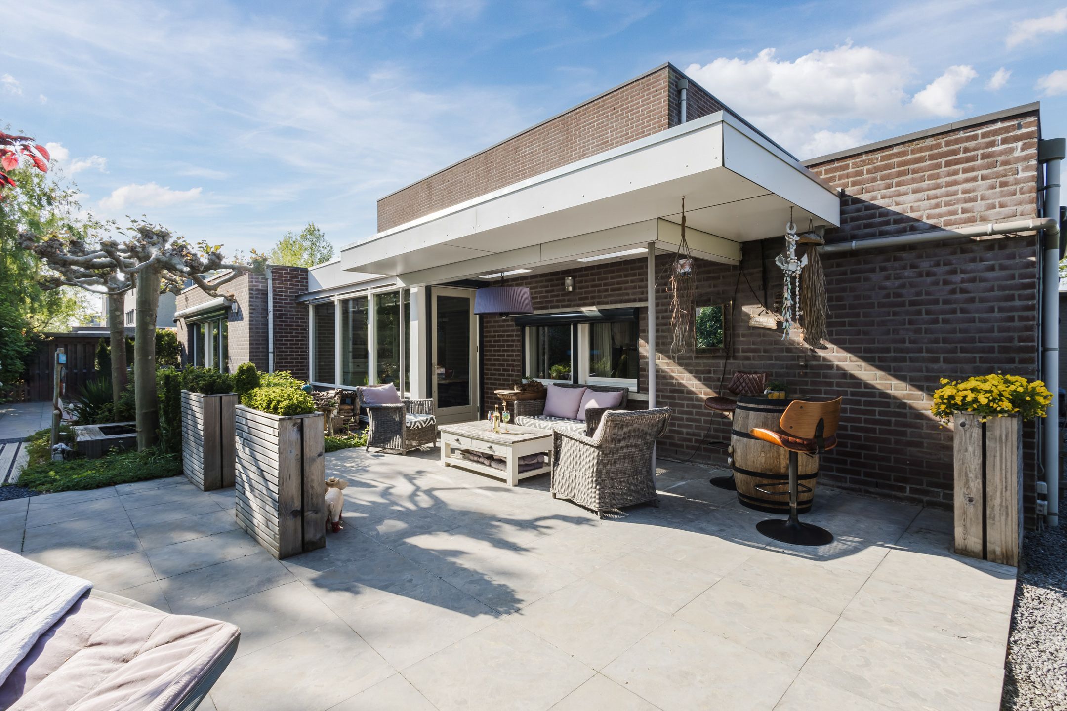 Foto 39 van Buizerd 14