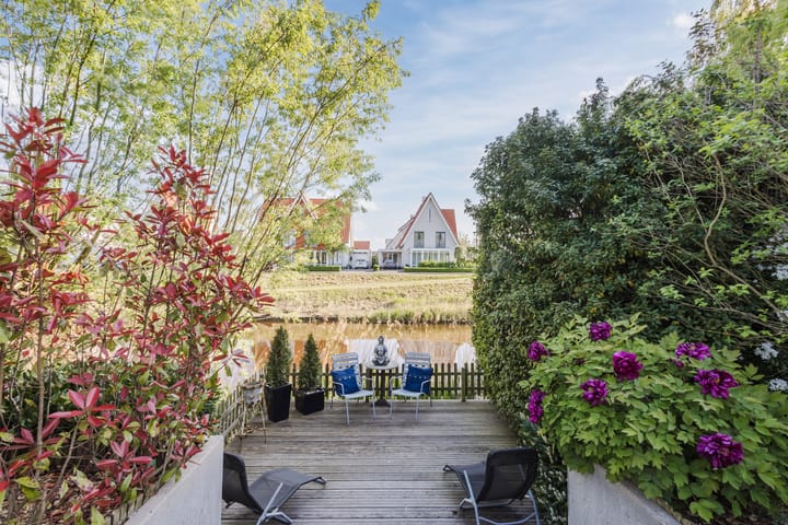 Photo 42 of Buizerd 14