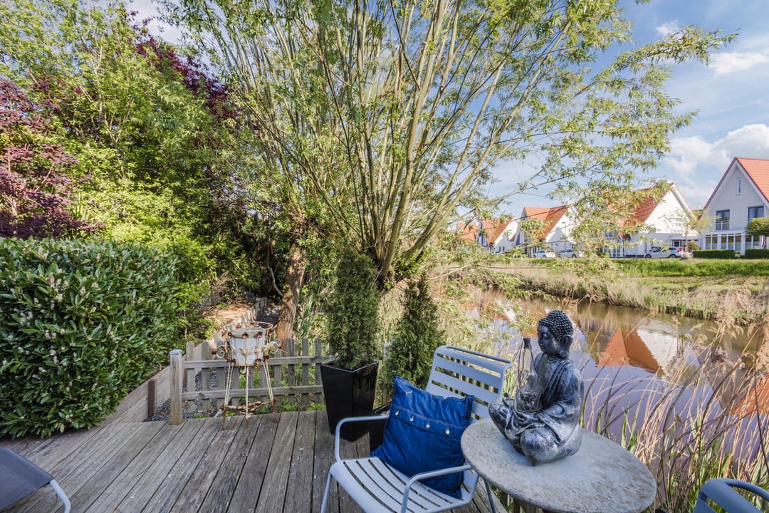 Foto 43 van Buizerd 14