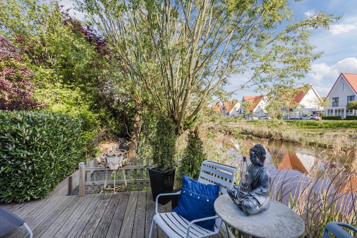 Photo 43 of Buizerd 14