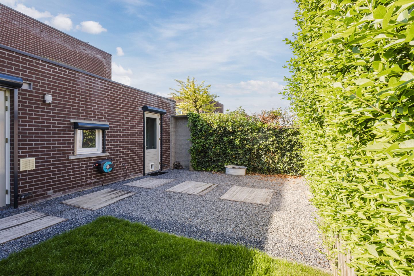 Foto 44 van Buizerd 14