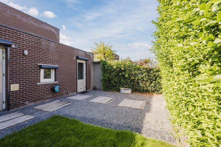 Photo 44 of Buizerd 14