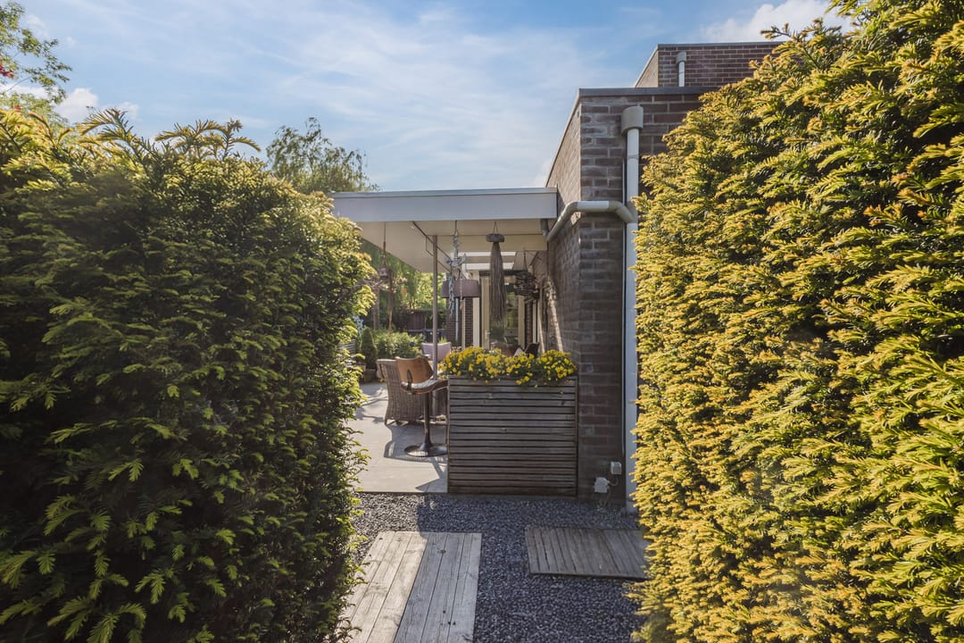 Foto 46 van Buizerd 14