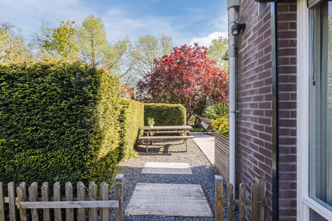 Foto 47 van Buizerd 14