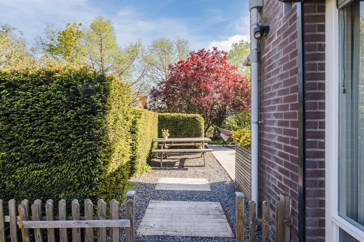 Photo 47 of Buizerd 14