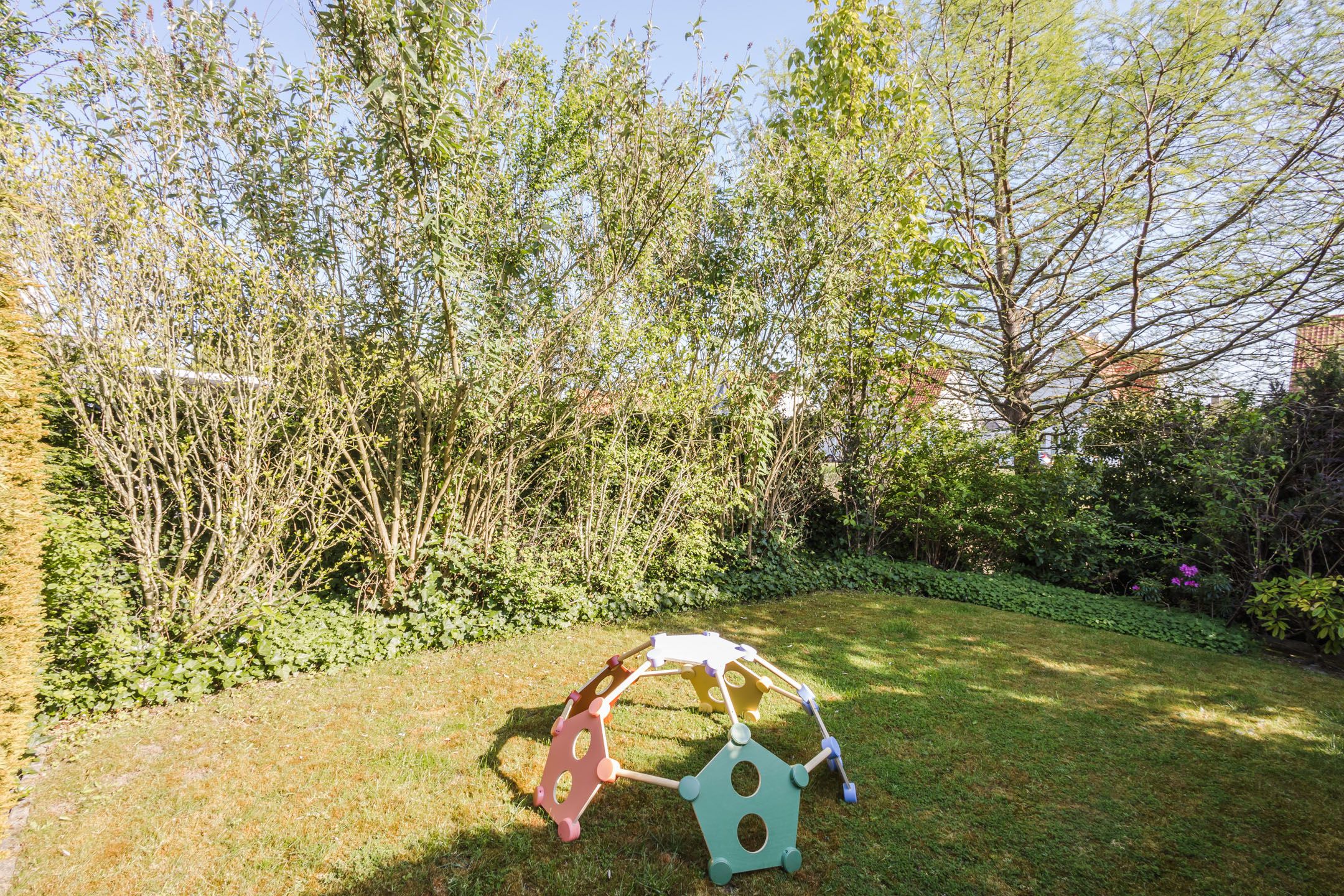 Foto 48 van Buizerd 14