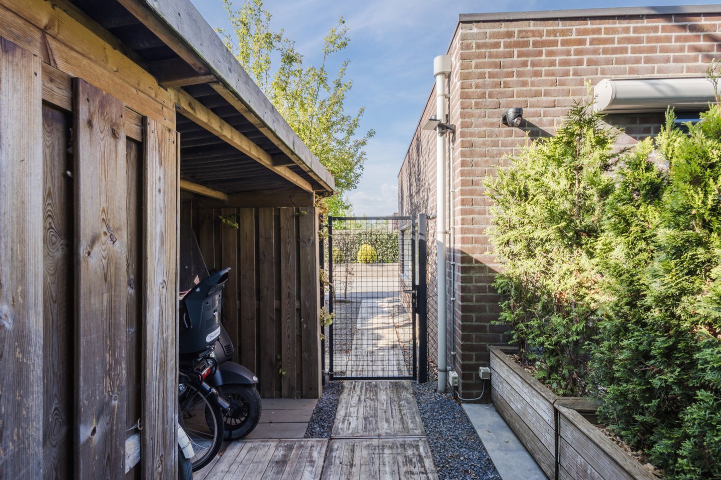 Foto 50 van Buizerd 14