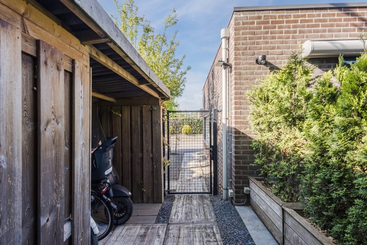 Photo 50 of Buizerd 14