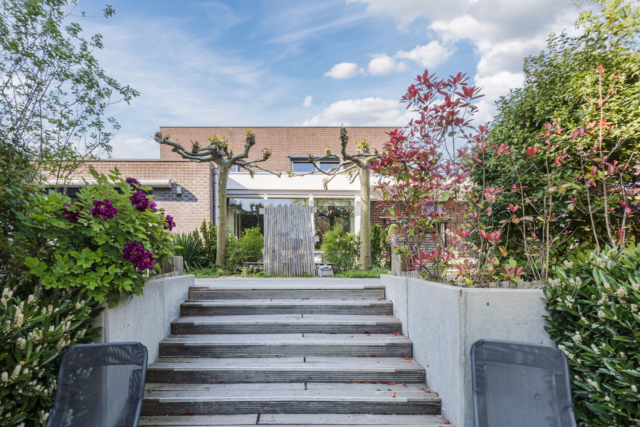 Foto 51 van Buizerd 14