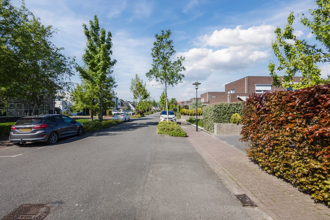 Foto 52 van Buizerd 14