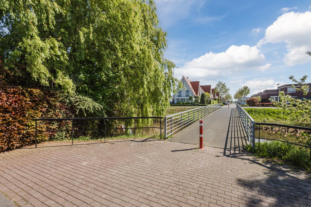 Foto 53 van Buizerd 14