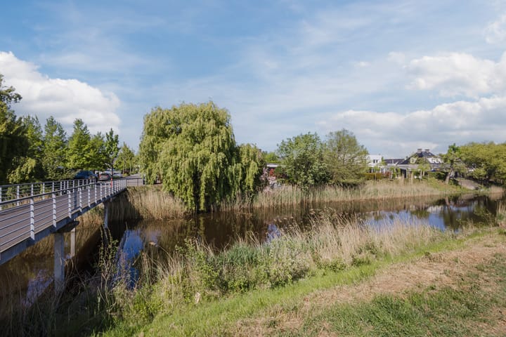 Photo 54 of Buizerd 14