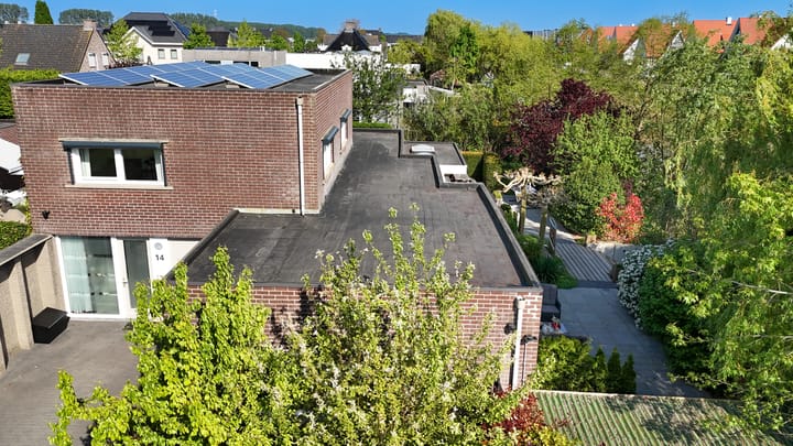 Photo 55 of Buizerd 14