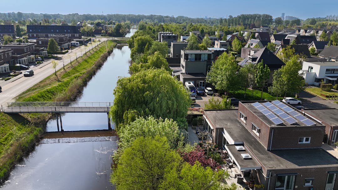 Foto 56 van Buizerd 14