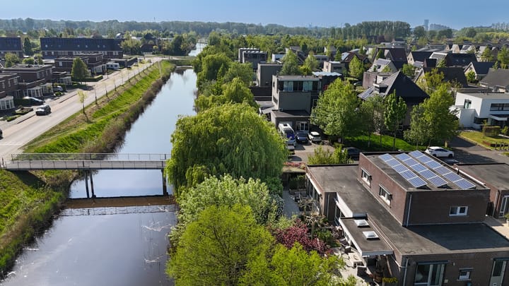 Photo 56 of Buizerd 14