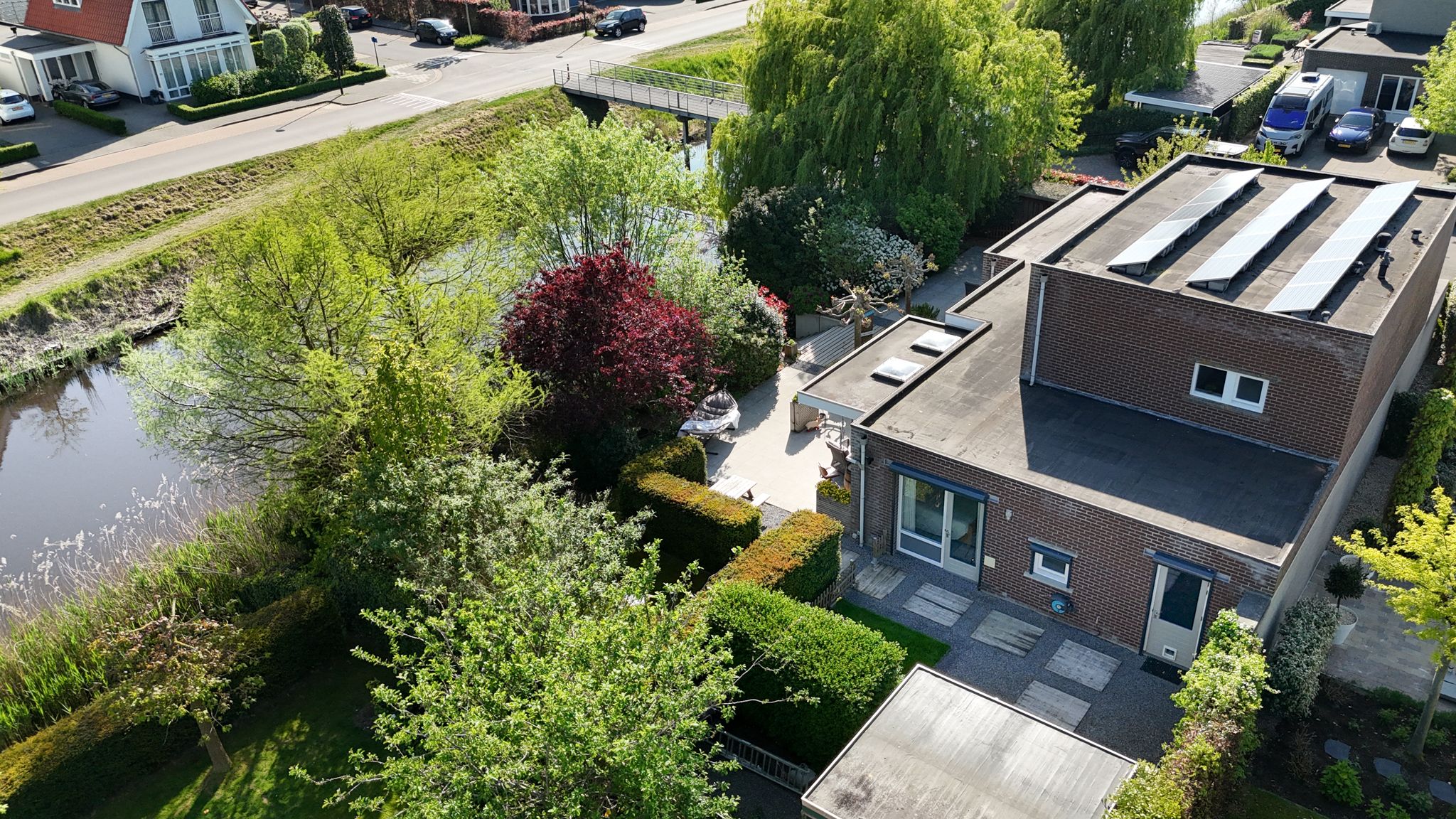 Foto 57 van Buizerd 14