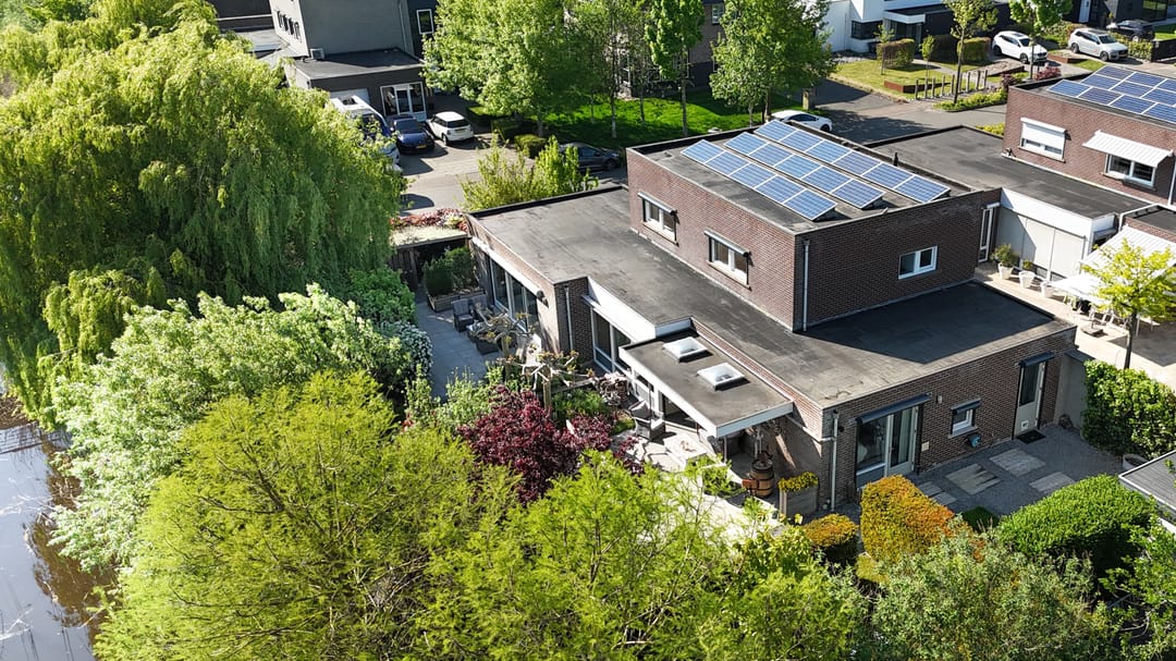 Foto 58 van Buizerd 14