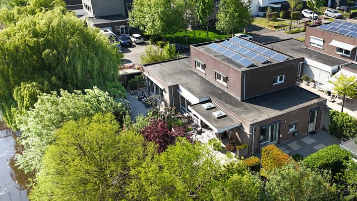 Photo 58 of Buizerd 14