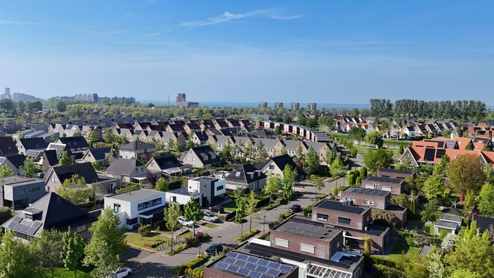 Photo 59 of Buizerd 14