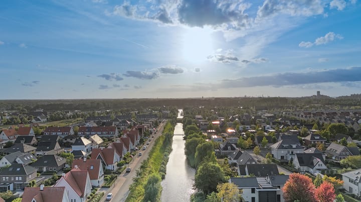 Photo 60 of Buizerd 14