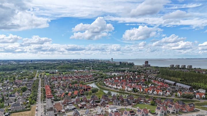 Photo 61 of Buizerd 14