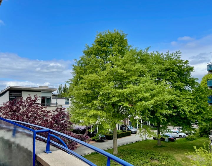 Foto 35 van Veensekom 32