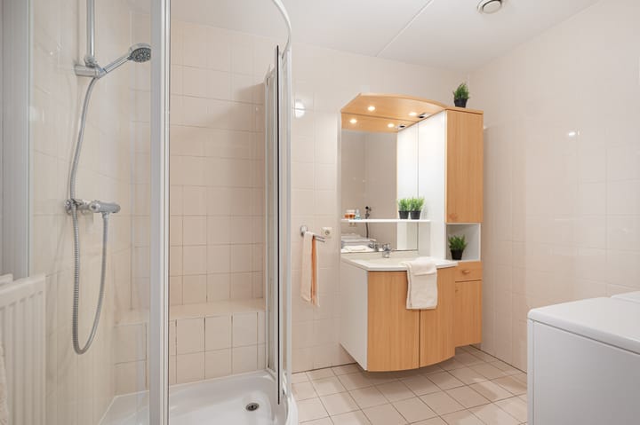 Foto 20 van Mieke de Brefstraat 6