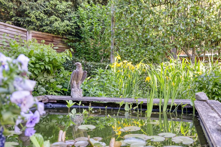 Foto 28 van Adelaar 19