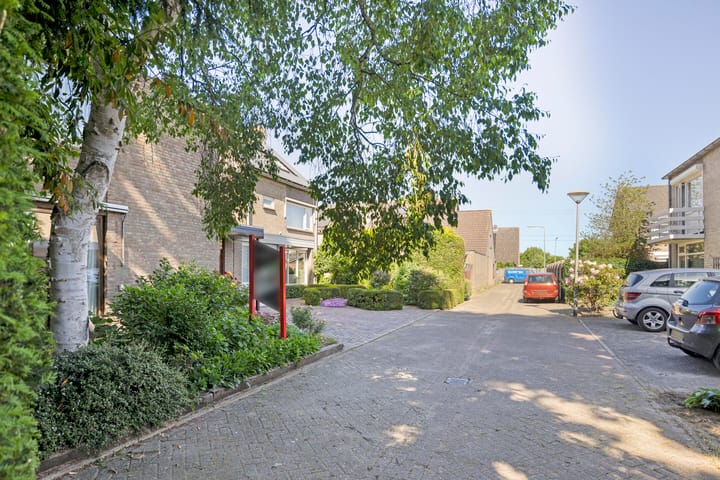 Foto 32 van Adelaar 19