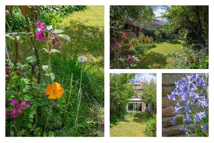 Foto 18 van Willem van de Veldekade 6