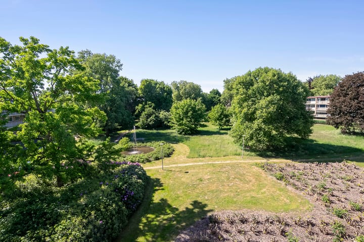 Foto 19 van Malvert 6471