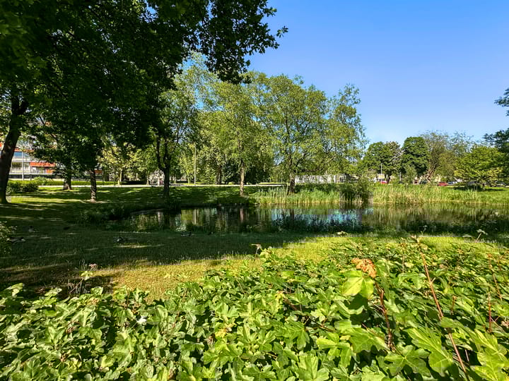 Foto 37 van Malvert 6471