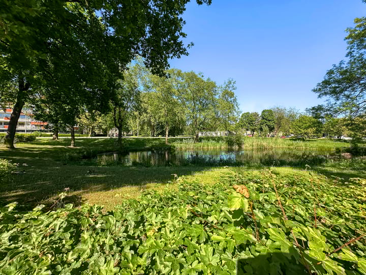 Foto 38 van Malvert 6471