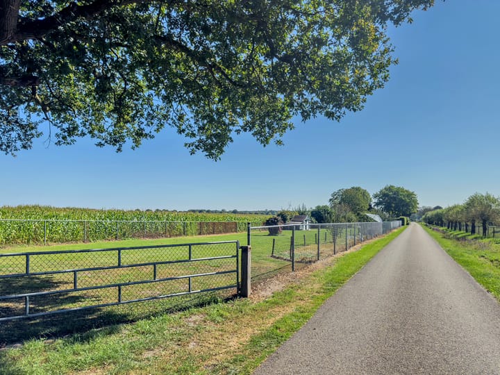 Foto 68 van Weselseweg 134