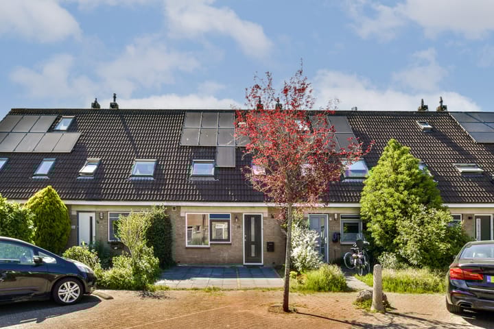 Foto 1 van Beemdgras 24