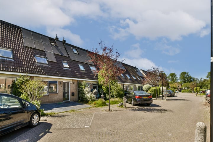 Foto 2 van Beemdgras 24