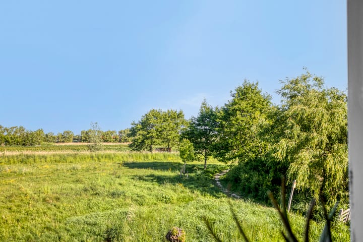 Foto 39 van Rietkraag 9