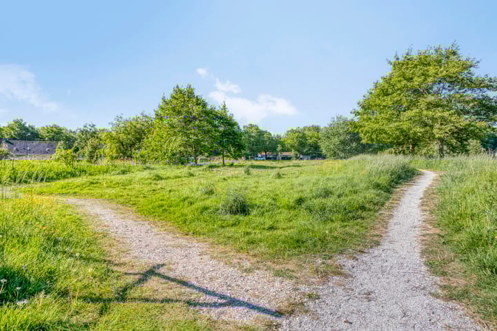 Foto 53 van Rietkraag 9