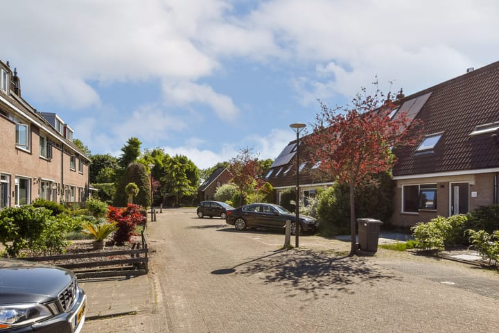 Foto 24 van Beemdgras 24