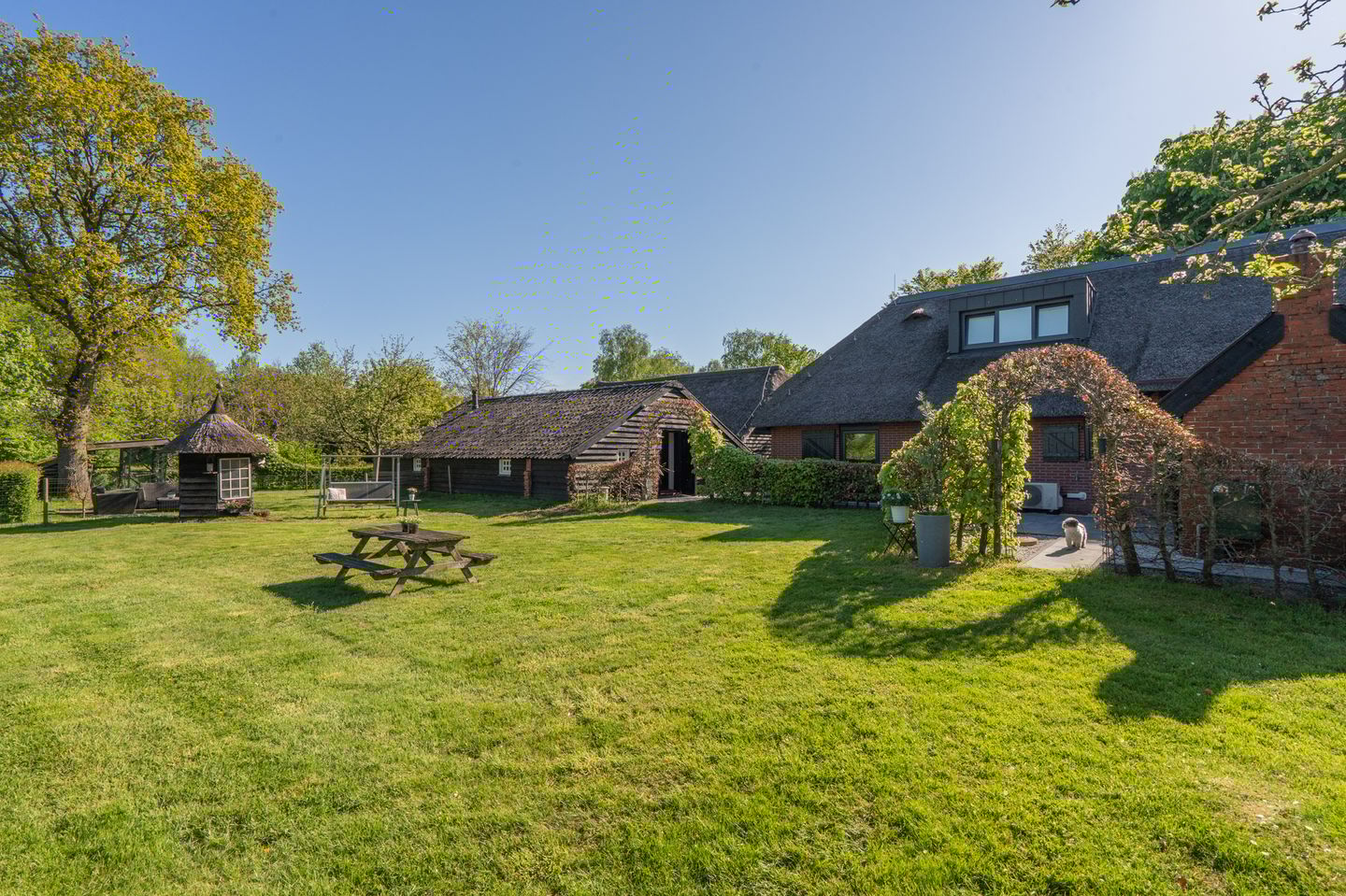 Foto 4 van Zeijerstroeten 22