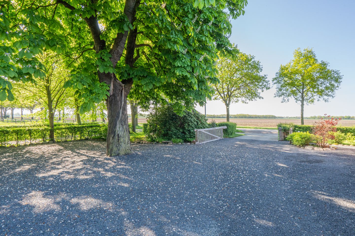 Foto 10 van Zeijerstroeten 22