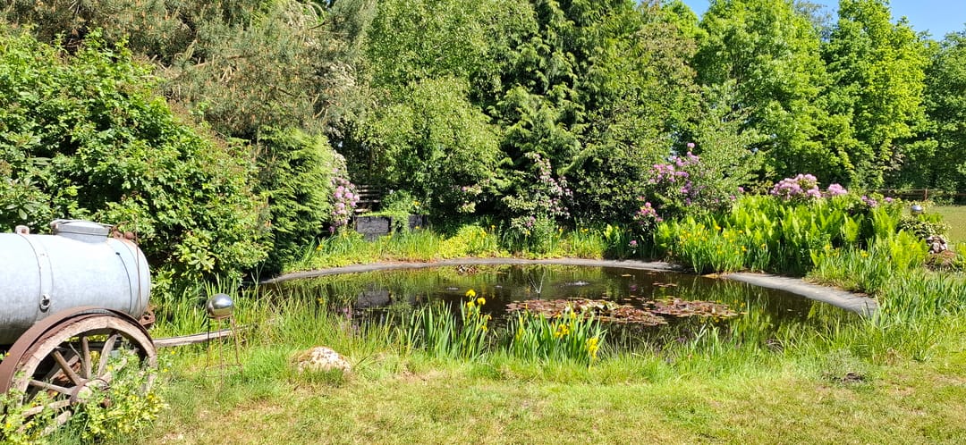 Foto 76 van Zeijerstroeten 22