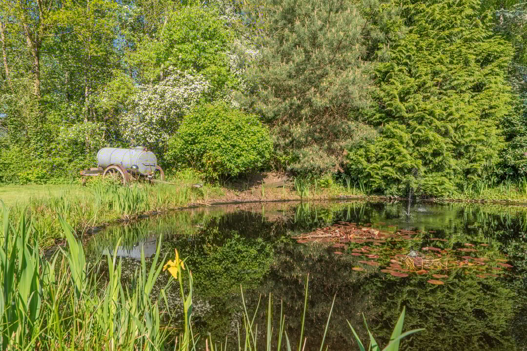 Foto 77 van Zeijerstroeten 22