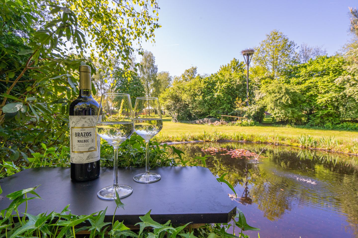 Foto 79 van Zeijerstroeten 22