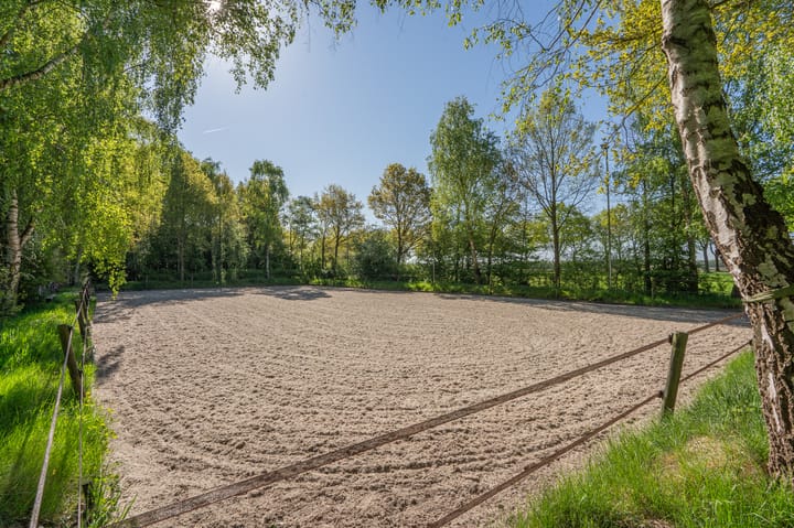 Photo 82 of Zeijerstroeten 22