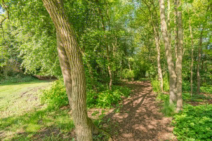 Photo 83 of Zeijerstroeten 22