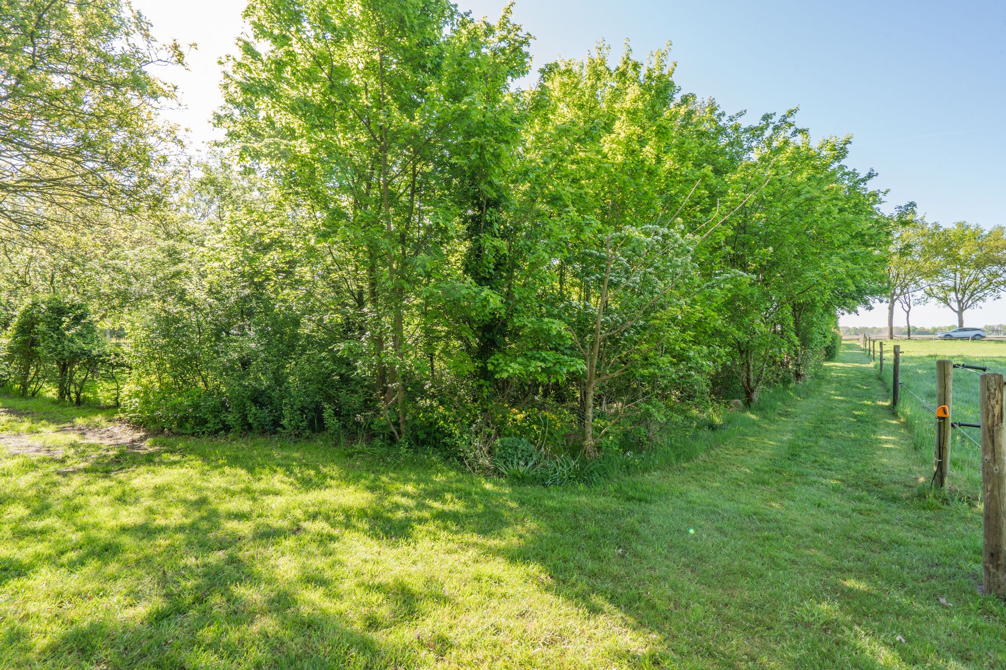 Foto 84 van Zeijerstroeten 22